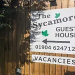 The Sycamore 4* يورك