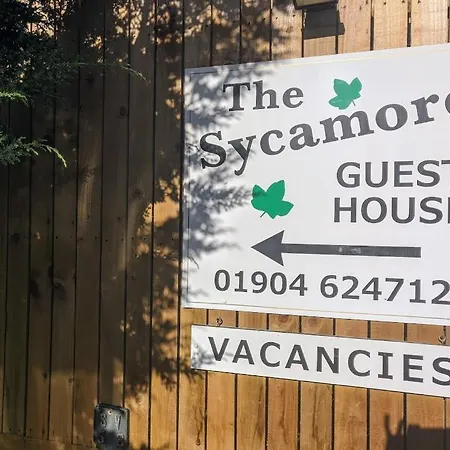 The Sycamore 4* يورك