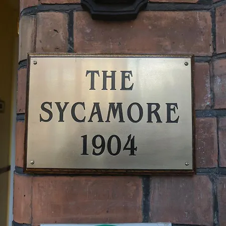 The Sycamore York