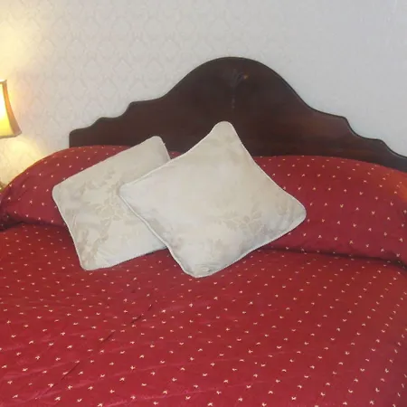 The Sycamore Guest house