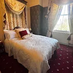 The Sycamore